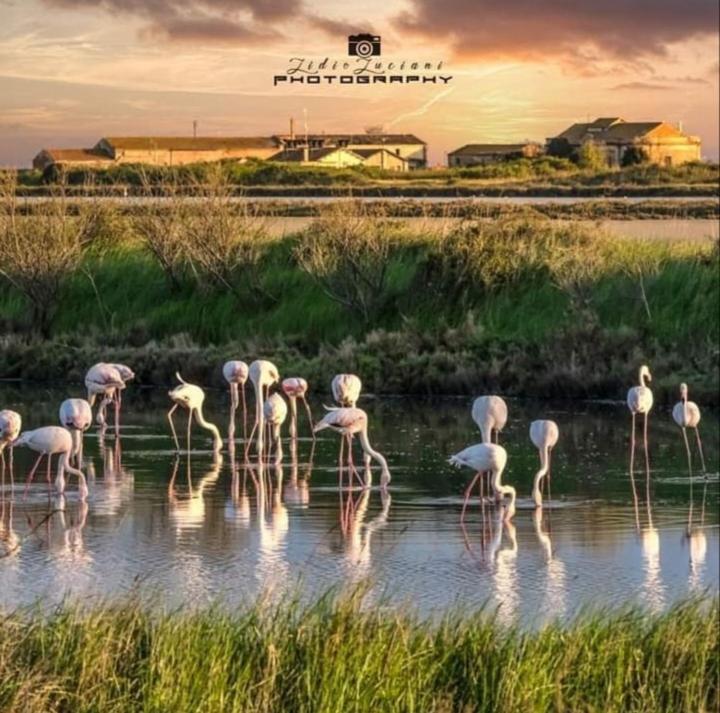 بورتو غاريبالدي B & B Cantarano المظهر الخارجي الصورة